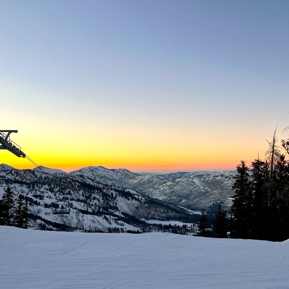 Meet your Posher, Cassandra!